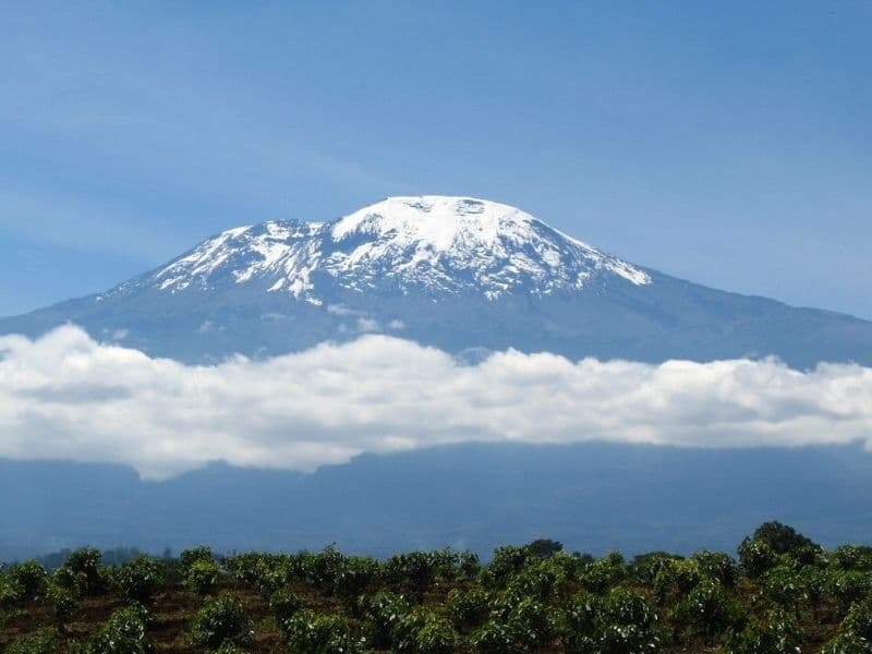 Breaking Down Your Kilimanjaro Climbing Cost in 2026.