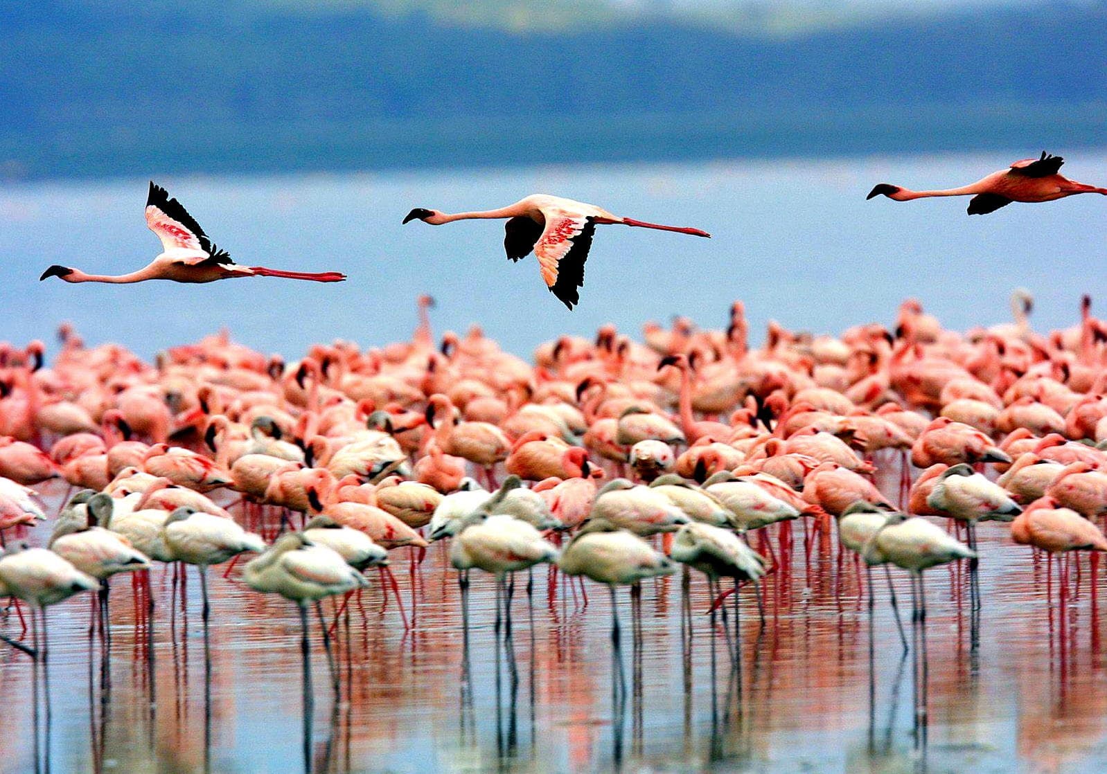 Lake Manyara National Park Overview
