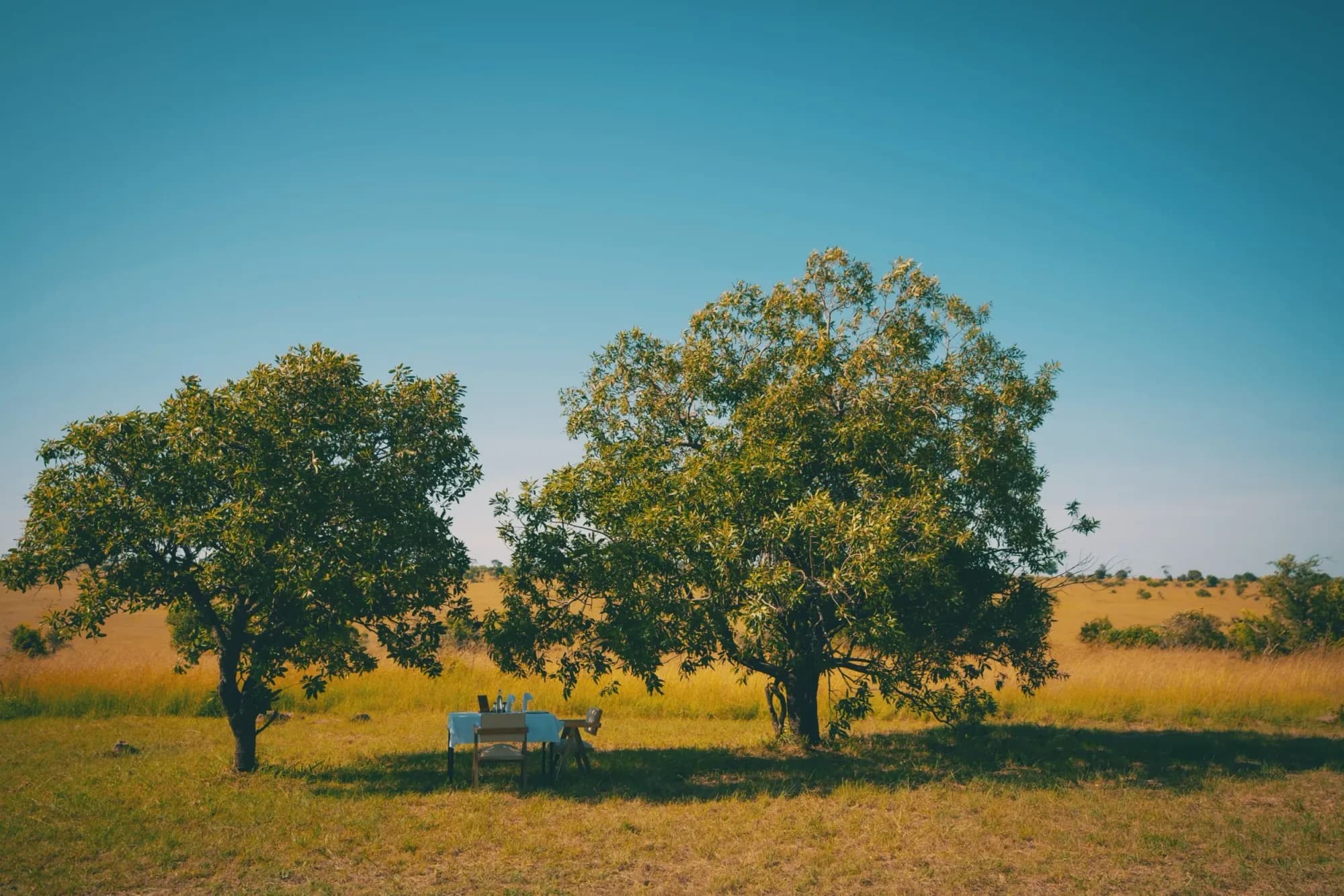 Moyo Tented Camp