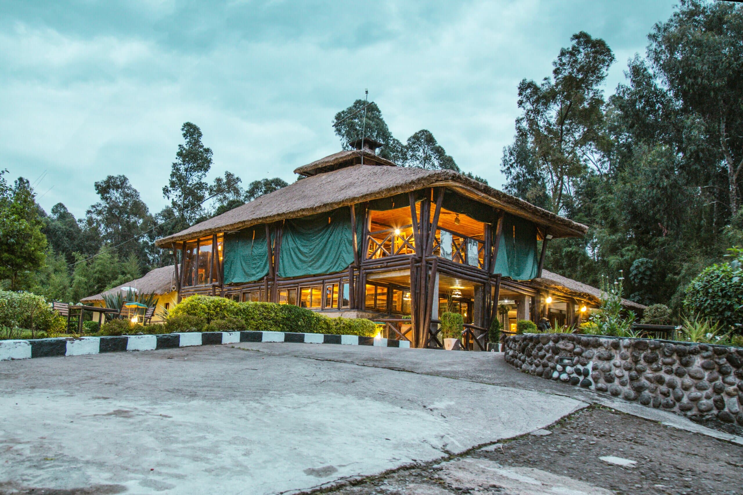 Da Vinci Gorilla Lodge