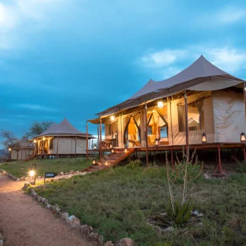 Matawi Serengeti Camp