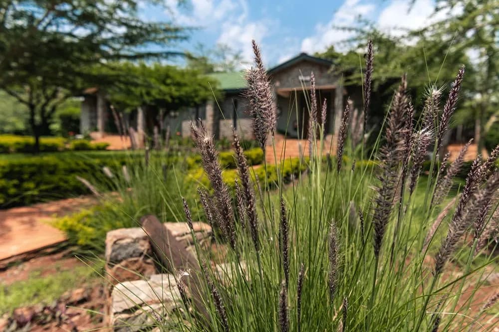 Ngorongoro Oldeani Mountain Lodge
