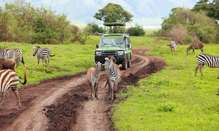 5-Day Ultimate Safari