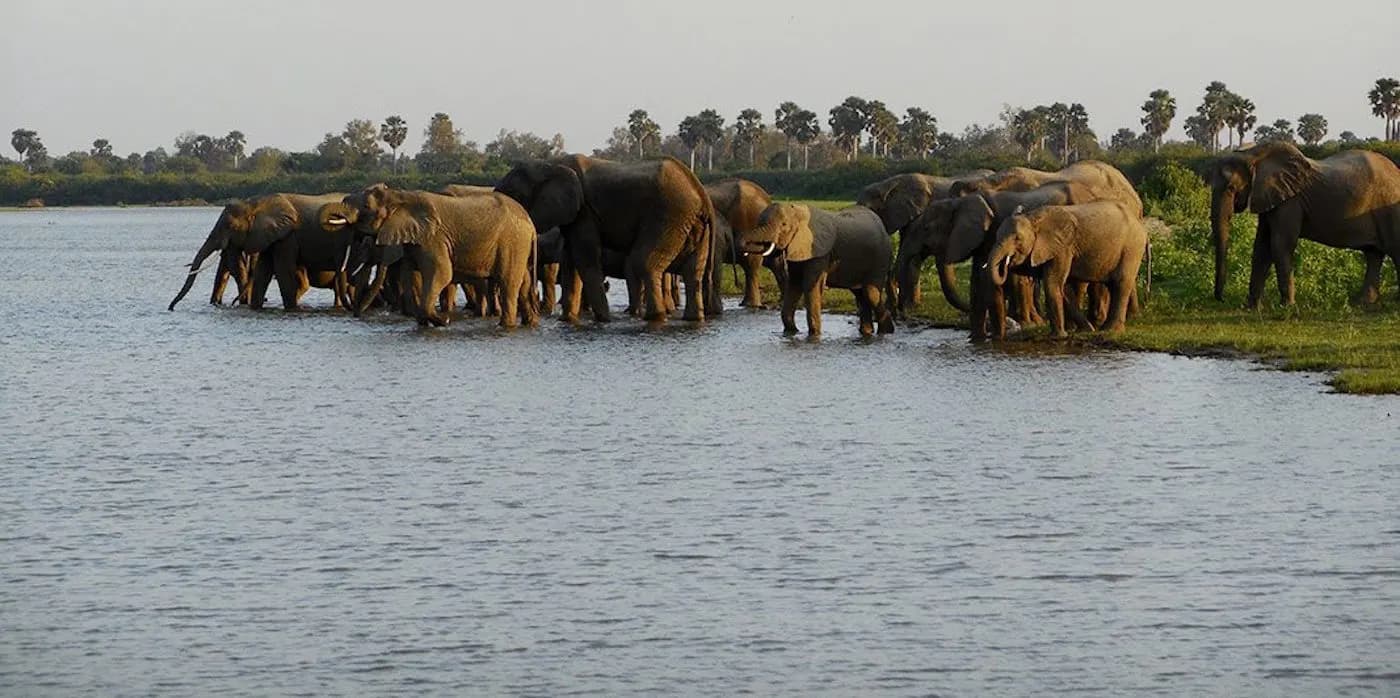 Southern Tanzania Wilderness