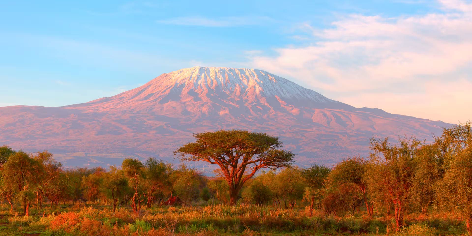 Kilimanjaro