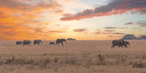 2-Day Hot Air Ballon Safari-Tarangire