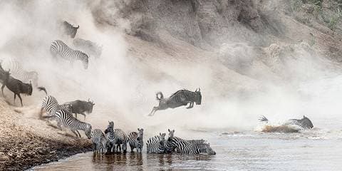 12-Day Luxury Honeymoon Safari and Beach Holiday