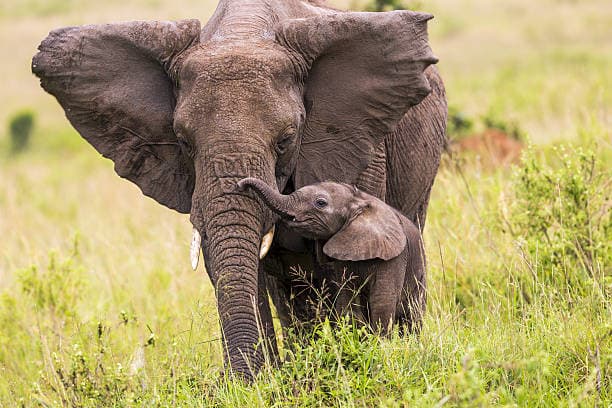 Makisala photos
