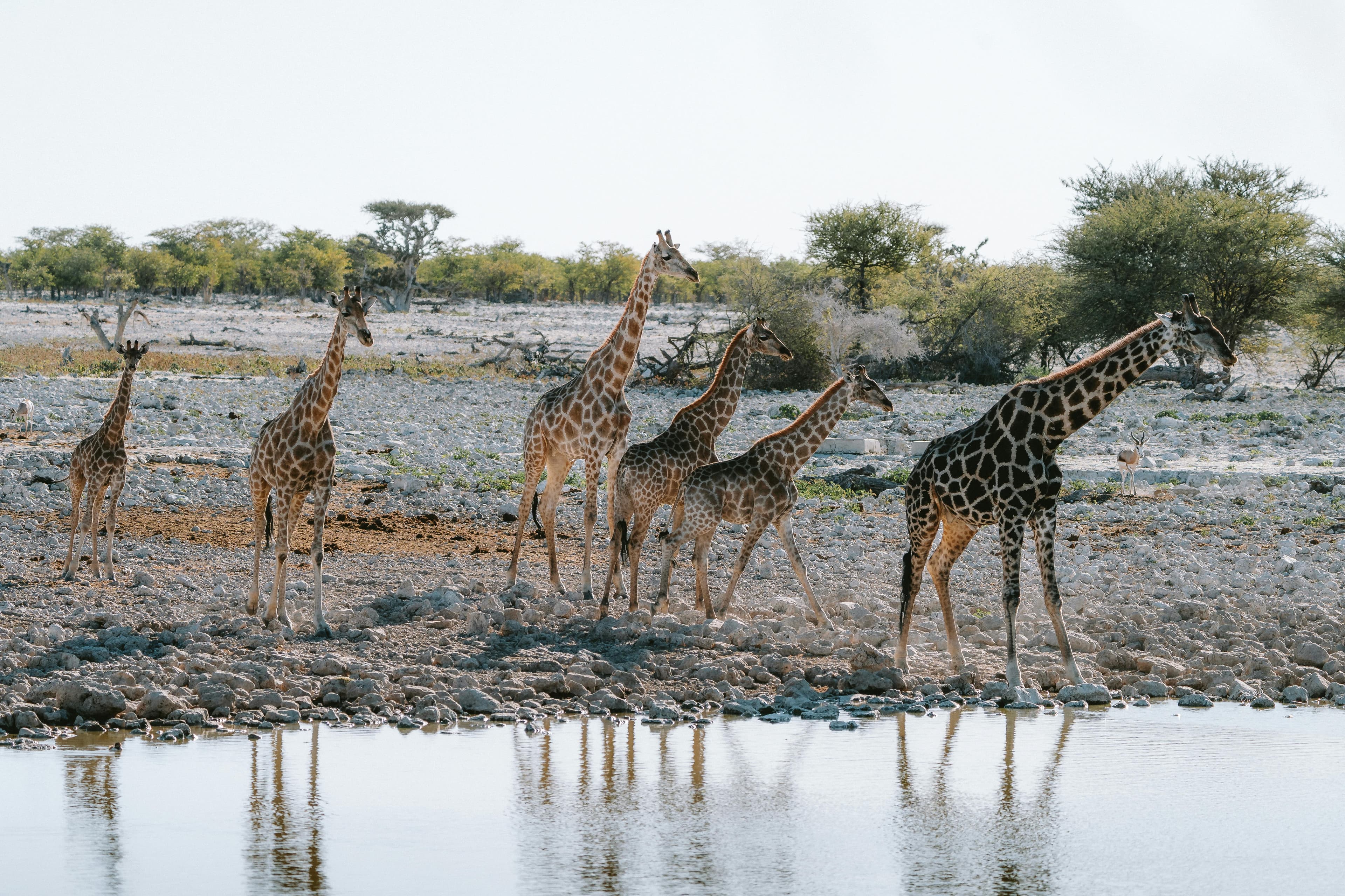 Makisala photos